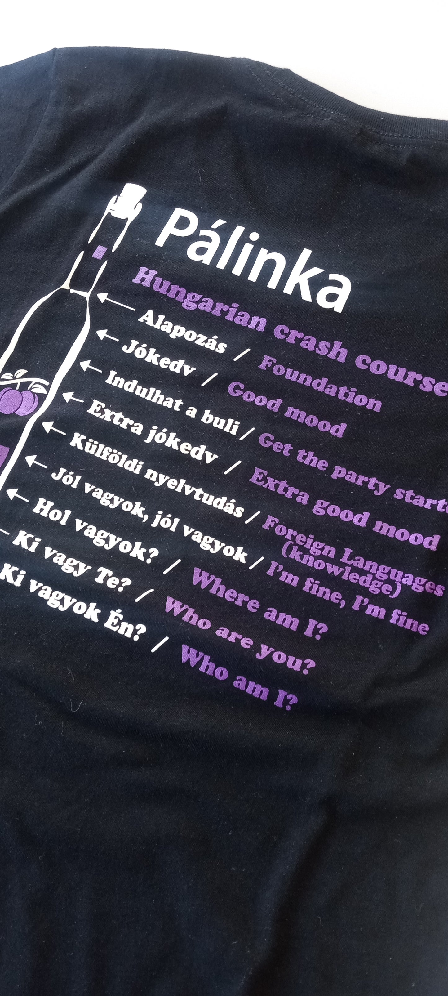 Palinka Hungarian Crash Course Tee