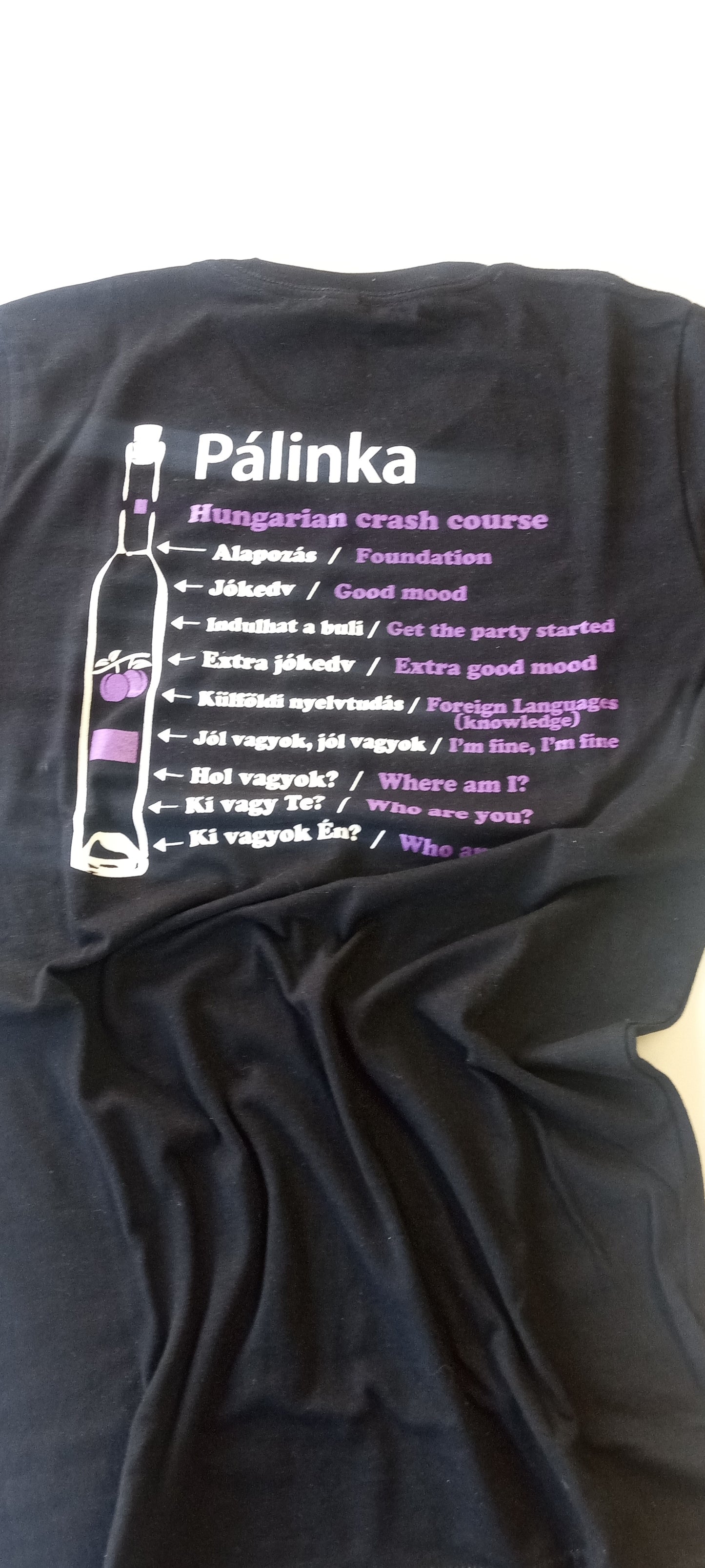 Palinka Hungarian Crash Course Tee